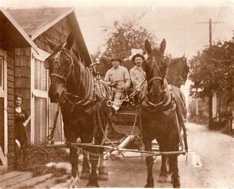 SANITARY SERVICE COMPANY INC (SSC) - Bellingham WA - Hours, Directions ...