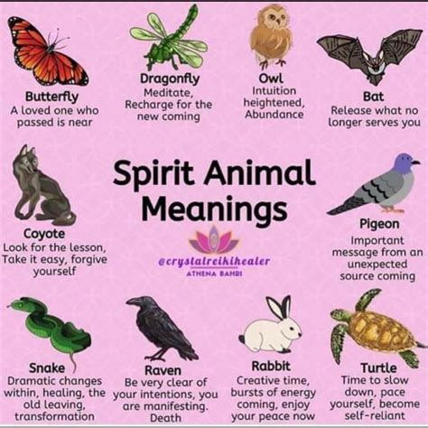 Who is your spirt animal? | Spirit animal meaning, Animal meanings ...