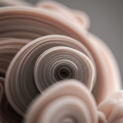 Social Commentary → Term