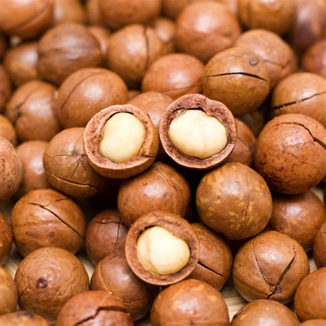 Macadamia Nut Oil - Kamal Arochem