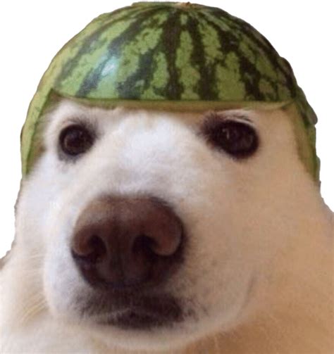 Dank Meme, Creative, Shareable, Funny, Internet PNG