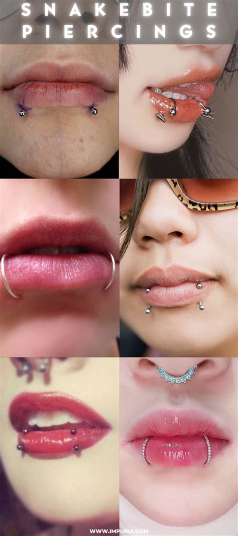 Snake Bite Piercing: The Complete Guide