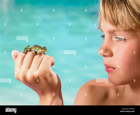 Water holding frogs hi-res stock photography and images - Alamy