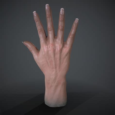 Boris Van der Beek - Caucasian Female Hand 3d Study