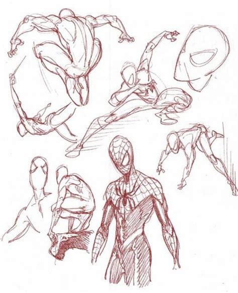 Spiderman drawing, Spiderman art sketch, Sketches