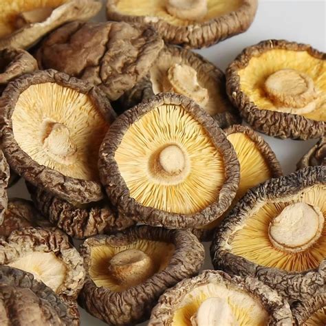 Dried Shiitake Mushroom Slices Powder Wholesale