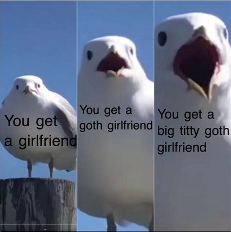 Big titty goth girlfriend ohh yeeeaah : r/memes