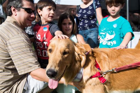 Irvine Animal Care Center hosts annual holiday pet adoption fair ...
