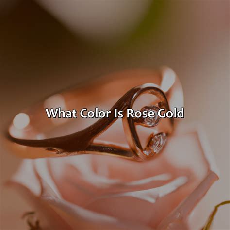 What Color Are Hippos - colorscombo.com