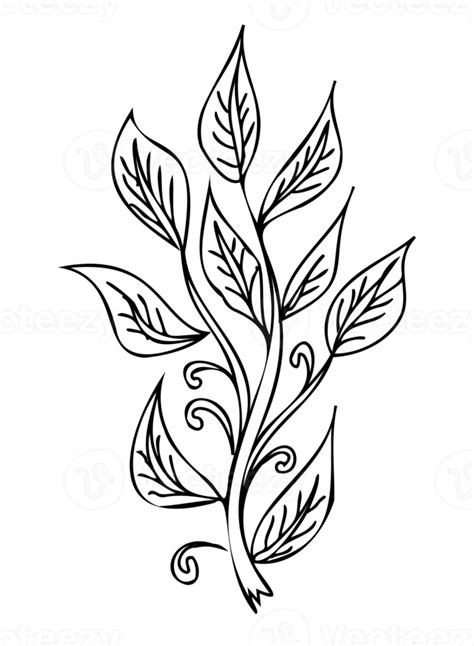 Line art Plant illustration. Outline floral design. PNG with ...