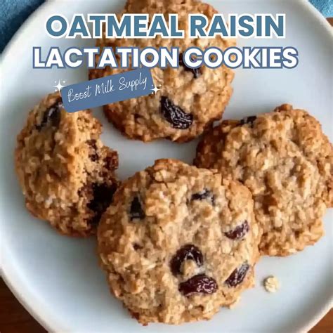 Chocolate No Bake Lactation Cookies