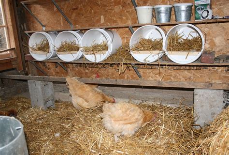 DIY Chicken Nest Boxes Using 5-Gallon Buckets