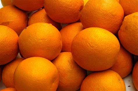 orange summary | Britannica