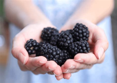 Fruits In Switzerland: 10 Seasonal Fruits In Switzerland