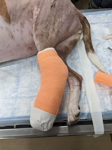 Modified Robert-Jones Bandage - Brian's Bandages