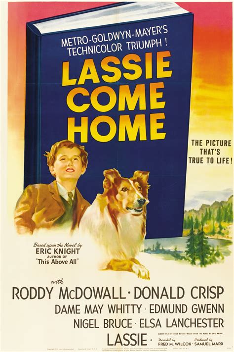 Lassie Come Home (1943) - Posters — The Movie Database (TMDB)
