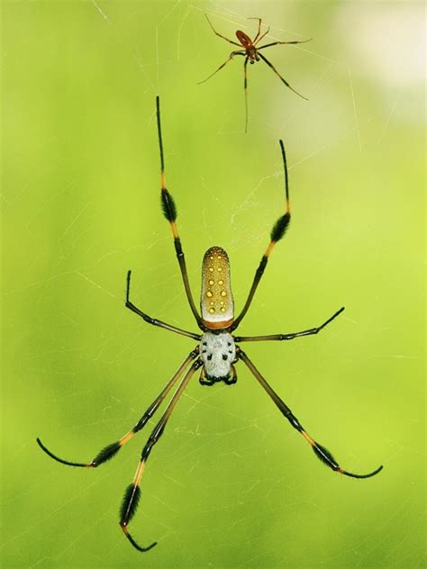 Please stop : r/RocketLeague