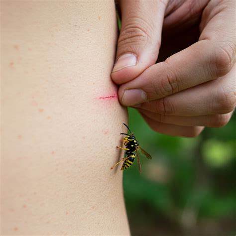 Left Side of Body Pain Spiritual Meaning - Wisdom Of The Spirit