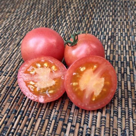 12 najsladších odrôd paradajok, ktoré by *** vyskúšať - Záhrada.sk