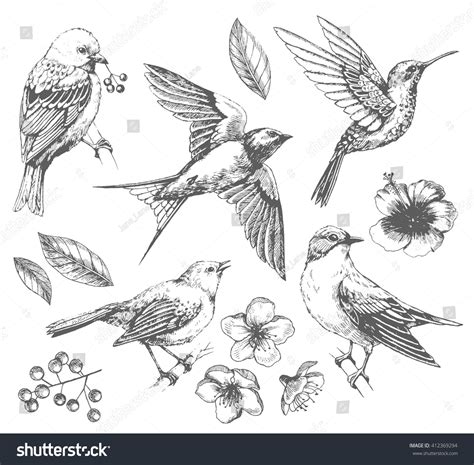 Simple Bird Drawing at PaintingValley.com | Explore collection of ...