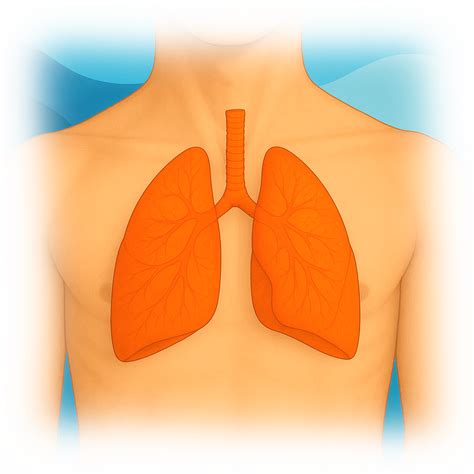 QuantiFERON®-TB Gold Plus Tuberculosis Test | Ulta Lab Tests