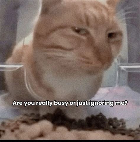 ~𝘛𝘦 𝘢𝘮𝘰 | #relatable #real #love #sad #spiderman #meme #her #him # ...