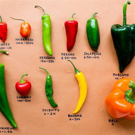 Types Of Chili Peppers Chart