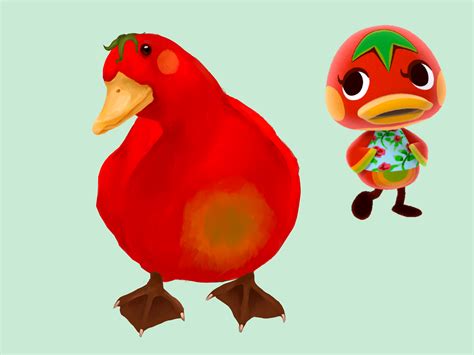 Who Is Ketchup In Animal Crossing at Nancy Jensen blog