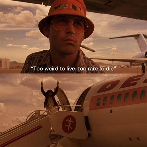 Fear And Loathing Quotes