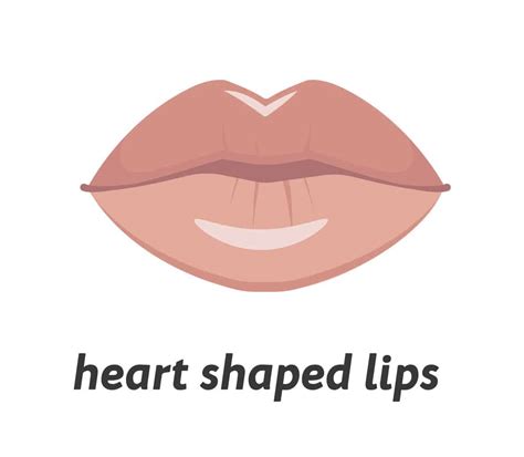 9 Different Types of Lips: How to Enhance and Take Care of Them