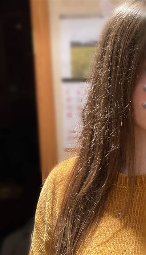 1 best u/ok-process-861 images on Pholder | Does anyone know what might ...