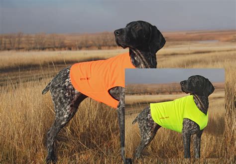 Dog Hunting Life Vest at Tanya Milford blog