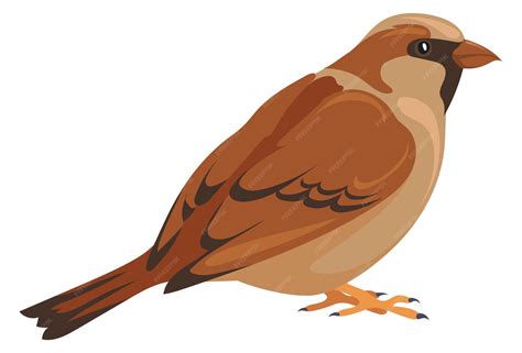 Premium Vector | Wild sparrow icon forest bird nature symbol
