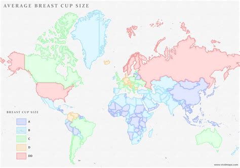 Women’s Physical Features Mapped - Vivid Maps