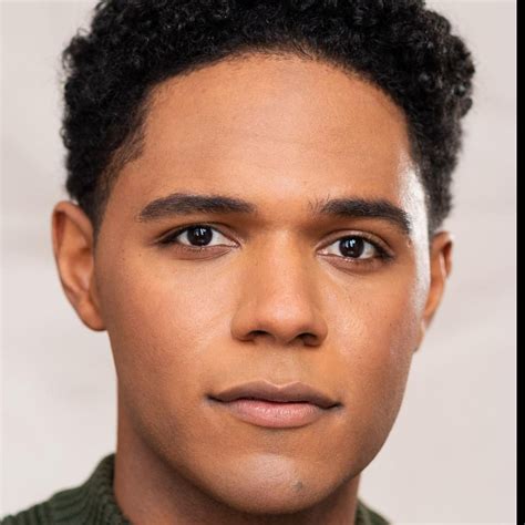 Watch Paws in the City (2025) Full Movie Online - Plex