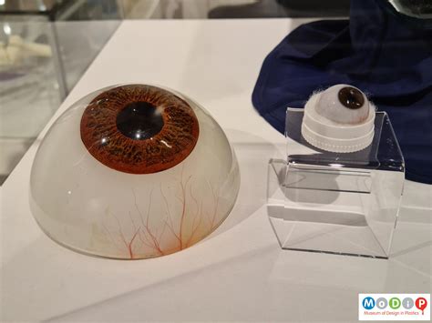 Eye | Museum of Design in Plastics
