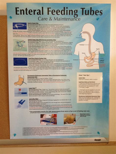 Enteral Feeding Tubes - care and maintenance | Enteral feeding, Feeding ...