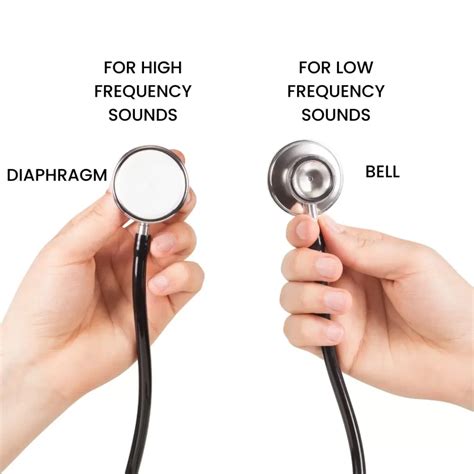 Parts of a Stethoscope: Names & Their Functions -Hospitalstore