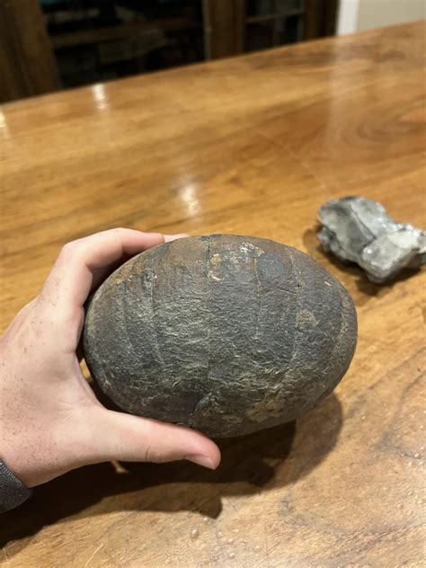 Need help identifying this rock looks like a giant egg sounds hollow : r/fossils