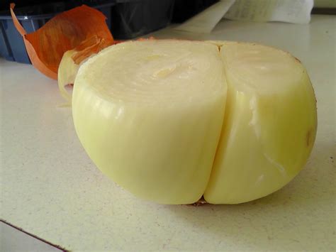 jorgeolmosmusic « Jorge « Page 2