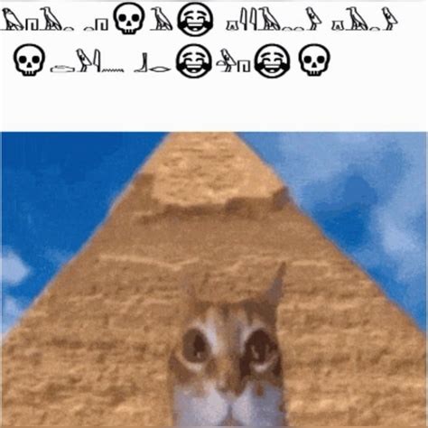 Goofy Gatos🐈 & More!