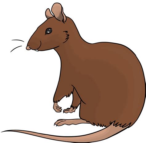 Download Portable Network Graphics - ClipartKey