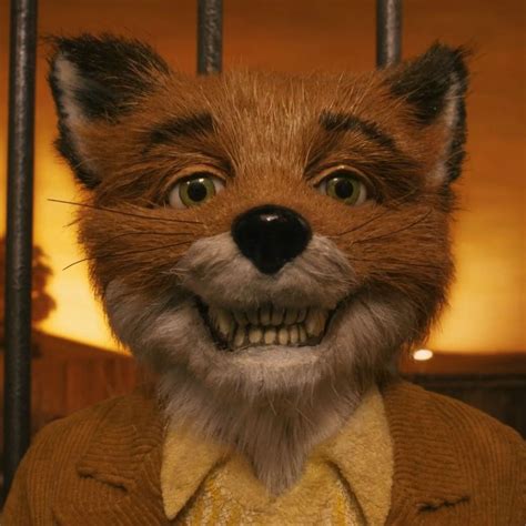 22 Fantastic mr fox ideas | fantastic mr fox, mr fox, fantastic fox