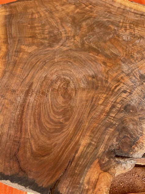 Walnut Wood Slab 30" x 25 1/2" x 1 1/2" - Frison-Logue Hardwoods