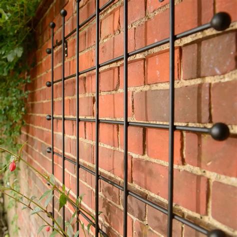 How To Mount A Trellis On A Brick Wall | Storables
