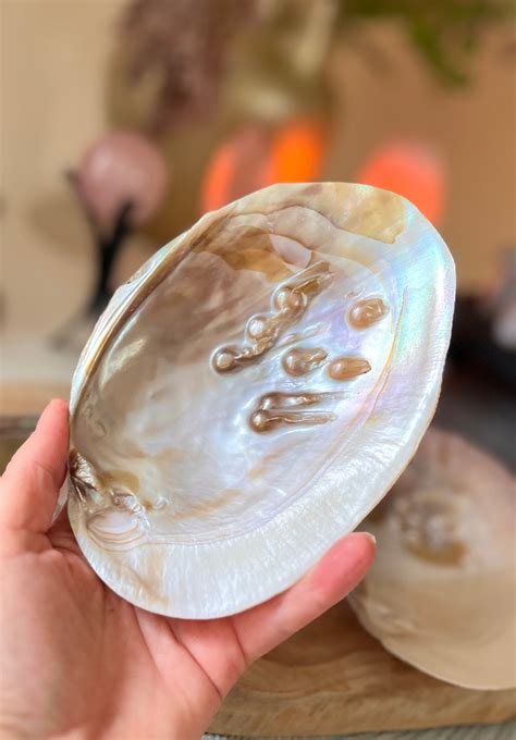 Parelschelp – Lola, Moon and Stars