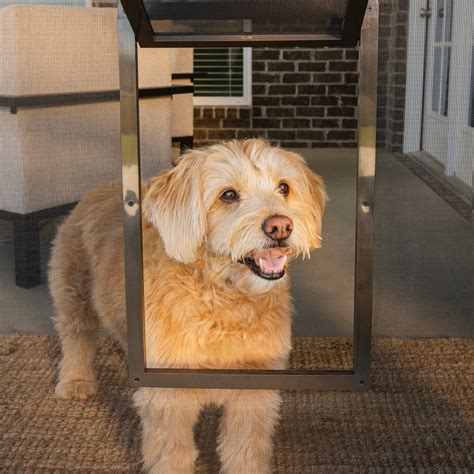 Doggie Doors For Screen Doors