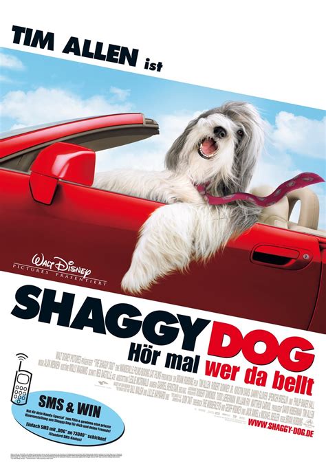 The Shaggy Dog (#2 of 2): Extra Large Movie Poster Image - IMP Awards