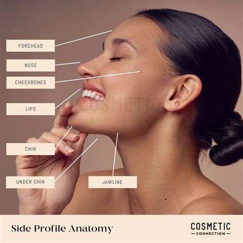 Male Nose Side Profile