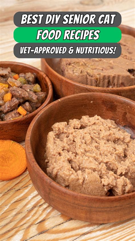 Best DIY Senior Cat Food Recipes! Vet-Approved & Nutritious! | Homemade ...